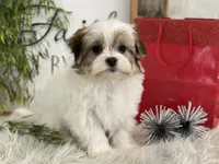 processed/4c77ce04-4a20-4d18-9609-4c5ac81fbcb1/listing/2dde481f-4d6e-45bc-a849-7f7189532eee/60e2014b-9b26-4cb0-9529-a5c7b2490841