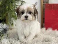 processed/4c77ce04-4a20-4d18-9609-4c5ac81fbcb1/listing/2dde481f-4d6e-45bc-a849-7f7189532eee/7f8a3060-b385-4868-866d-a2ce929f504e