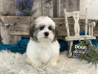 processed/4c77ce04-4a20-4d18-9609-4c5ac81fbcb1/listing/4b891c10-36c1-43cc-a399-a3982e5ce548/1907c45d-a9e8-4b09-9dc4-9c2112f58b89