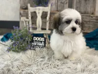 processed/4c77ce04-4a20-4d18-9609-4c5ac81fbcb1/listing/4b891c10-36c1-43cc-a399-a3982e5ce548/81f71c1b-1df0-4d05-82a7-a5680bc8b7ed