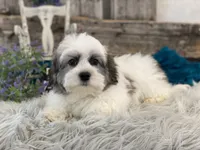 processed/4c77ce04-4a20-4d18-9609-4c5ac81fbcb1/listing/4b891c10-36c1-43cc-a399-a3982e5ce548/93116139-e6aa-4717-9d54-9ee8a212eab3