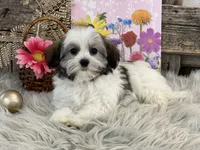 processed/4c77ce04-4a20-4d18-9609-4c5ac81fbcb1/listing/79bb9219-d1ec-4664-a655-1ca3f8eea786/648af778-4e71-49eb-a68c-08c21e93c692