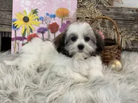 processed/4c77ce04-4a20-4d18-9609-4c5ac81fbcb1/listing/79bb9219-d1ec-4664-a655-1ca3f8eea786/bea14a0b-cf4e-40b4-bafb-a91169a93eff