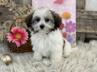 processed/4c77ce04-4a20-4d18-9609-4c5ac81fbcb1/listing/79bb9219-d1ec-4664-a655-1ca3f8eea786/c008c6c5-f199-47fa-b56b-3173f0d0f6ee