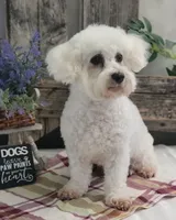 processed/4c77ce04-4a20-4d18-9609-4c5ac81fbcb1/listing/aacbdf9d-4c77-42a8-a19e-2409448684cf/121037f6-10d2-404b-8539-9a68ec5fd829