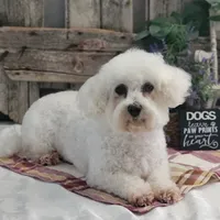 processed/4c77ce04-4a20-4d18-9609-4c5ac81fbcb1/listing/aacbdf9d-4c77-42a8-a19e-2409448684cf/1fb2b10f-5853-4037-9fe9-6516b5a142e5