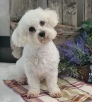 processed/4c77ce04-4a20-4d18-9609-4c5ac81fbcb1/listing/aacbdf9d-4c77-42a8-a19e-2409448684cf/84abcb14-46b6-4313-bbb7-7f7c2b8ceffa