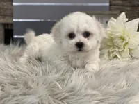 processed/4c77ce04-4a20-4d18-9609-4c5ac81fbcb1/listing/c1928878-70e3-4de5-87ce-032a930cb15e/7a0255fc-f630-447f-881c-434b58e2d143