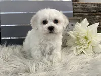 processed/4c77ce04-4a20-4d18-9609-4c5ac81fbcb1/listing/c1928878-70e3-4de5-87ce-032a930cb15e/bfa9d2ce-9cb3-48c1-9055-6b550f13d7f5