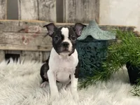 processed/4c77ce04-4a20-4d18-9609-4c5ac81fbcb1/listing/d58b03dc-1bde-4082-a2f5-9a18a10a4e7b/7be819ae-796b-411d-8eb3-06d5eaa599a7