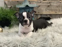 processed/4c77ce04-4a20-4d18-9609-4c5ac81fbcb1/listing/d58b03dc-1bde-4082-a2f5-9a18a10a4e7b/9e38ba0c-6444-4e4d-8302-262d61fbfad2