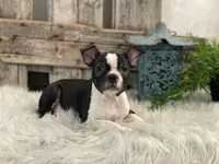 processed/4c77ce04-4a20-4d18-9609-4c5ac81fbcb1/listing/d58b03dc-1bde-4082-a2f5-9a18a10a4e7b/a54dda3c-9f59-44ff-a37b-d0d8b241574d