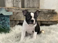 processed/4c77ce04-4a20-4d18-9609-4c5ac81fbcb1/listing/d58b03dc-1bde-4082-a2f5-9a18a10a4e7b/de50d332-671f-4e67-a705-c2f38a7b9cb5