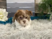 processed/4c77ce04-4a20-4d18-9609-4c5ac81fbcb1/listing/e6a15720-efbe-4784-b31d-40a900464246/6e4a7d69-b09a-486a-a860-6968c986fe23