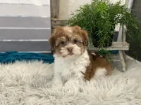 processed/4c77ce04-4a20-4d18-9609-4c5ac81fbcb1/listing/e6a15720-efbe-4784-b31d-40a900464246/981661d8-2ffc-4d4b-8e0b-8959df69b47c