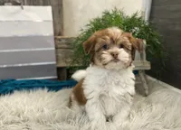 processed/4c77ce04-4a20-4d18-9609-4c5ac81fbcb1/listing/e6a15720-efbe-4784-b31d-40a900464246/c02be416-ef93-42ef-b1c2-9a98022c7030