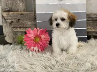 processed/4c77ce04-4a20-4d18-9609-4c5ac81fbcb1/listing/efbdb955-b5ca-4e33-9db0-a1efbc650e21/b861d23a-13c3-48e7-81d2-1ef73e8b345e