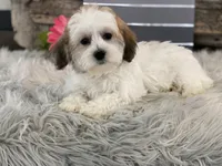 processed/4c77ce04-4a20-4d18-9609-4c5ac81fbcb1/listing/efbdb955-b5ca-4e33-9db0-a1efbc650e21/cde43488-5936-42e1-aacc-15c156b1cfae