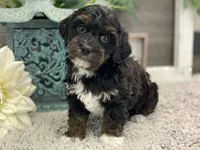 processed/4c77ce04-4a20-4d18-9609-4c5ac81fbcb1/listing/f4b1270f-f0e9-4735-9903-2157bd19a5d2/6399f256-3786-4a8e-93dc-234bb3c09b2a