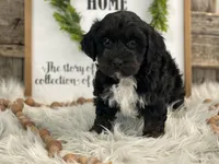 processed/4c77ce04-4a20-4d18-9609-4c5ac81fbcb1/listing/f76e22d9-fb9f-4e99-abd6-c6d0e4c6e23f/f51b5395-b5f1-4743-84cd-e14f229f1c76