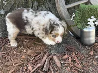 processed/4c7b5973-524e-43ee-b2e2-49febbf789ad/listing/b2c40519-8e00-470d-b8e6-a7f6df22e7cf/01f4bee4-3b1b-4343-b1a8-4ab75b6ecfca