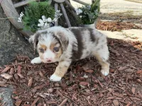 processed/4c7b5973-524e-43ee-b2e2-49febbf789ad/listing/b2c40519-8e00-470d-b8e6-a7f6df22e7cf/0f4d98c9-2c88-4847-b907-092c39f778b1