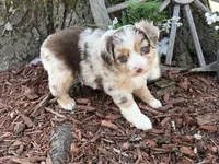 processed/4c7b5973-524e-43ee-b2e2-49febbf789ad/listing/b2c40519-8e00-470d-b8e6-a7f6df22e7cf/1636266d-6e4c-490e-8f00-a8e070f80de7