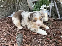 processed/4c7b5973-524e-43ee-b2e2-49febbf789ad/listing/b2c40519-8e00-470d-b8e6-a7f6df22e7cf/48fa25e9-3676-4187-9e59-a6955233da0e