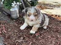 processed/4c7b5973-524e-43ee-b2e2-49febbf789ad/listing/b2c40519-8e00-470d-b8e6-a7f6df22e7cf/6ece28d6-72df-4a54-8cc5-9d7ea65f35ac