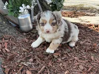 processed/4c7b5973-524e-43ee-b2e2-49febbf789ad/listing/b2c40519-8e00-470d-b8e6-a7f6df22e7cf/84790e53-a7d1-4616-aeba-c51138353d09