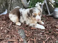 processed/4c7b5973-524e-43ee-b2e2-49febbf789ad/listing/b2c40519-8e00-470d-b8e6-a7f6df22e7cf/b990d056-6985-4682-8d33-1742daf6382c