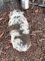 processed/4c7b5973-524e-43ee-b2e2-49febbf789ad/listing/b2c40519-8e00-470d-b8e6-a7f6df22e7cf/bca658ea-fb5d-42fb-911f-062d81b2ab9f