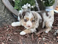 processed/4c7b5973-524e-43ee-b2e2-49febbf789ad/listing/b2c40519-8e00-470d-b8e6-a7f6df22e7cf/cab379a1-744b-485a-b8a7-a647ec89da36