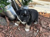 processed/4c7b5973-524e-43ee-b2e2-49febbf789ad/listing/d748869b-f077-4ed8-a207-3b7c3d06ab2f/2ce1c78f-0bcd-45d4-b8bf-2e5aa18d8a1b