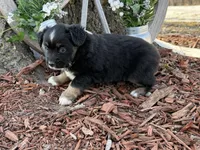 processed/4c7b5973-524e-43ee-b2e2-49febbf789ad/listing/d748869b-f077-4ed8-a207-3b7c3d06ab2f/2d01b7d2-f305-4b68-9c08-b37b76032258