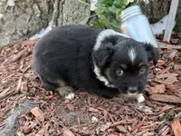 processed/4c7b5973-524e-43ee-b2e2-49febbf789ad/listing/d748869b-f077-4ed8-a207-3b7c3d06ab2f/67e1b522-3ccd-4a78-9e04-6717ed5c4108