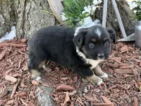 processed/4c7b5973-524e-43ee-b2e2-49febbf789ad/listing/d748869b-f077-4ed8-a207-3b7c3d06ab2f/6eed7235-8601-48c3-b353-c833e92f0f4c