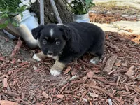 processed/4c7b5973-524e-43ee-b2e2-49febbf789ad/listing/d748869b-f077-4ed8-a207-3b7c3d06ab2f/8342fb3f-e4a4-414b-adb0-1145f9195e7b