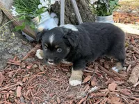 processed/4c7b5973-524e-43ee-b2e2-49febbf789ad/listing/d748869b-f077-4ed8-a207-3b7c3d06ab2f/b55d2603-79de-4825-b2b6-1c2b88b4ffb1