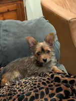 processed/4c84e427-d727-4951-924e-38b74f616f27/listing/724c0162-4e8a-4a5a-8720-213f2e2be8ab/1ac3a2d0-c570-4bf3-a715-7182856e01cd