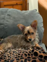 processed/4c84e427-d727-4951-924e-38b74f616f27/listing/724c0162-4e8a-4a5a-8720-213f2e2be8ab/2c34dd6f-f561-41b3-b775-b590fa44e4ec