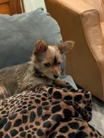 processed/4c84e427-d727-4951-924e-38b74f616f27/listing/724c0162-4e8a-4a5a-8720-213f2e2be8ab/6f0261b5-8053-4c86-9ec1-421963474352