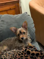 processed/4c84e427-d727-4951-924e-38b74f616f27/listing/724c0162-4e8a-4a5a-8720-213f2e2be8ab/cfa6c2a3-a2f5-4f56-bf72-a90ad26e4210