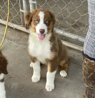 processed/4c8e7b05-e648-4f04-af98-6df03d8c28c8/listing/9e69e55b-b3e9-4044-a3c6-215598a1bb9f/32edfe7d-0cfa-4375-8149-e3f28a17cad5