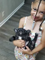 processed/4c904777-76a3-4c48-9f60-a817865998ea/facility/28604c1f-bad1-4179-88eb-0e95b96c1758