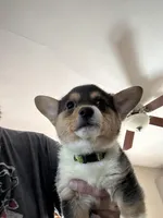 processed/4c94d6db-93a3-4d37-acdf-170a04d5a374/facility/74b71282-7b8d-4b75-816b-2f534a2857d6