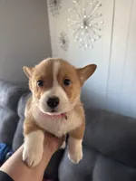 processed/4c94d6db-93a3-4d37-acdf-170a04d5a374/facility/d780c9c7-6864-4bb1-8275-361a84b9a129