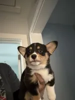 processed/4c94d6db-93a3-4d37-acdf-170a04d5a374/facility/e7bee0e1-a55d-4bf8-b56b-94b6e729e1bd