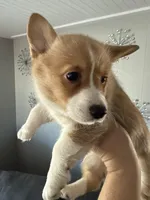 processed/4c94d6db-93a3-4d37-acdf-170a04d5a374/facility/ed81c871-f2a8-44c4-b9ba-0f6b063df060