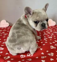 processed/4c992ff0-f24b-4a69-9f02-74589c2a86ab/listing/08d402bd-1b7c-48b0-a765-01d6d083ebc2/29a6e21e-1ad6-47bf-a9bb-084b1c0095dc